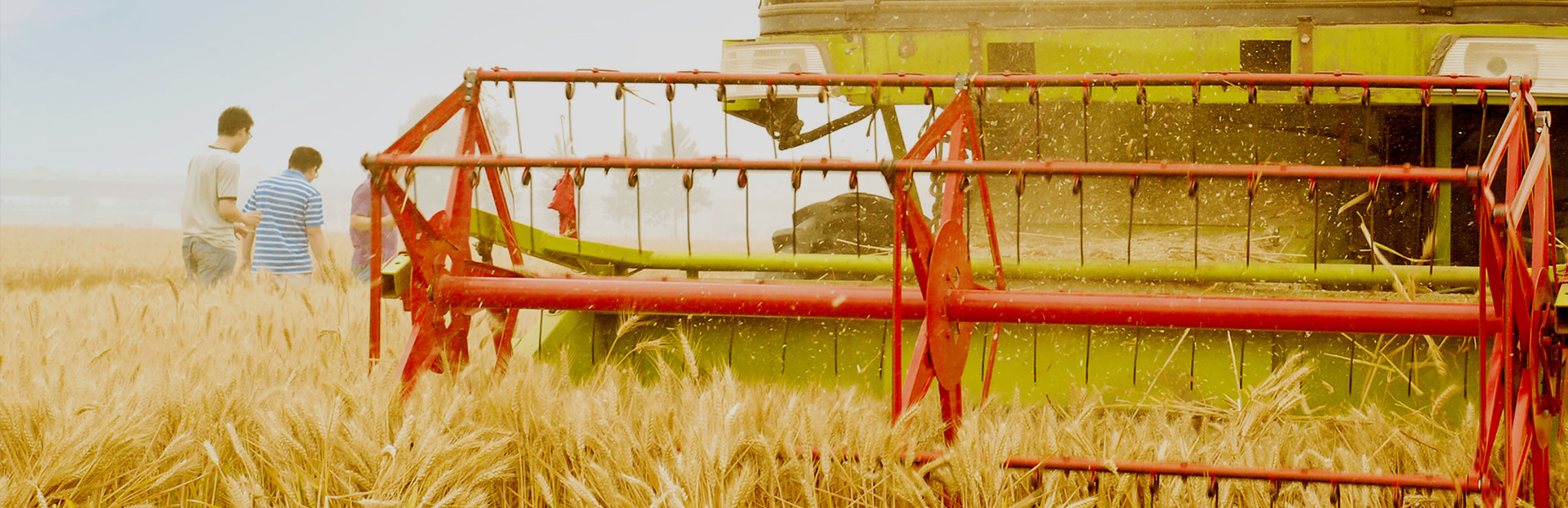 1691843557392883.jpg banner1.jpg